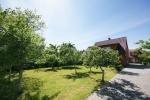Holiday in Palanga - apartments and rooms for rent in Palanga