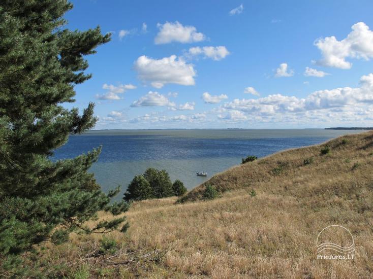 PUŠŲ MYLIA - 0,5 mylios iki jūros apartamentai su terasa pušyne