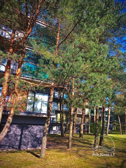 Apartamento nuoma Palangoje