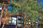 Apartamento nuoma Palangoje