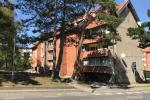 Apartamentų nuoma Nida centre ir Nida Forest