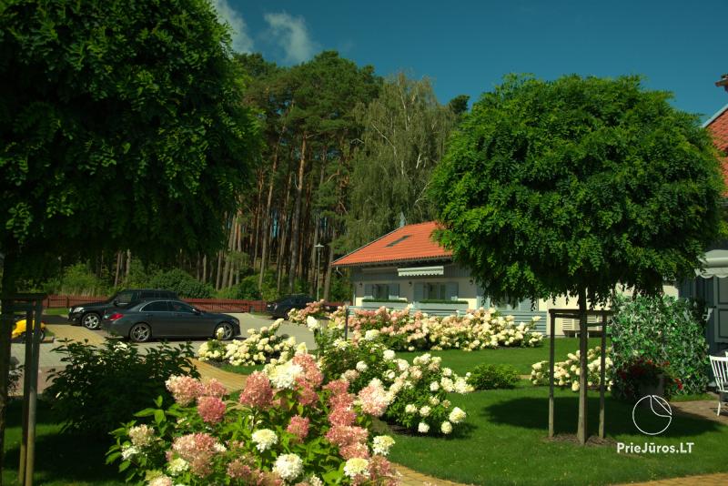 Preilos Perliukas - jaukių apartamentų nuoma Preiloje, Kuršių nerijoje