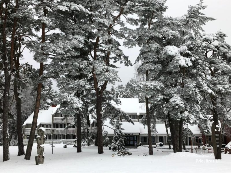 Svečių namai SKALVA“ Nidoje: ten, kur marios susitinka su pušyno ramybe!