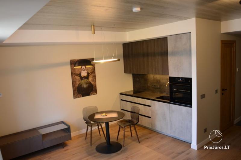 Studio apartment in the center of Klaipeda Seven Peonies