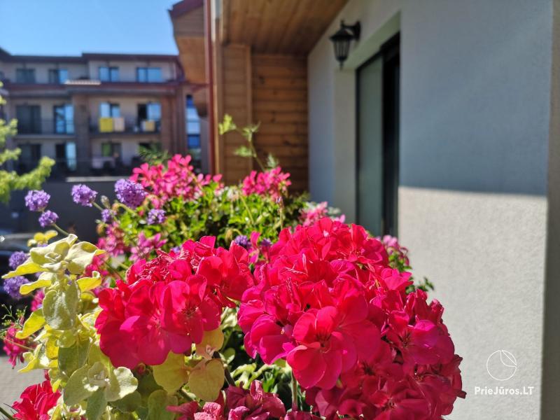 Poilsis Malūnų vilos apartamentuose Palangoje