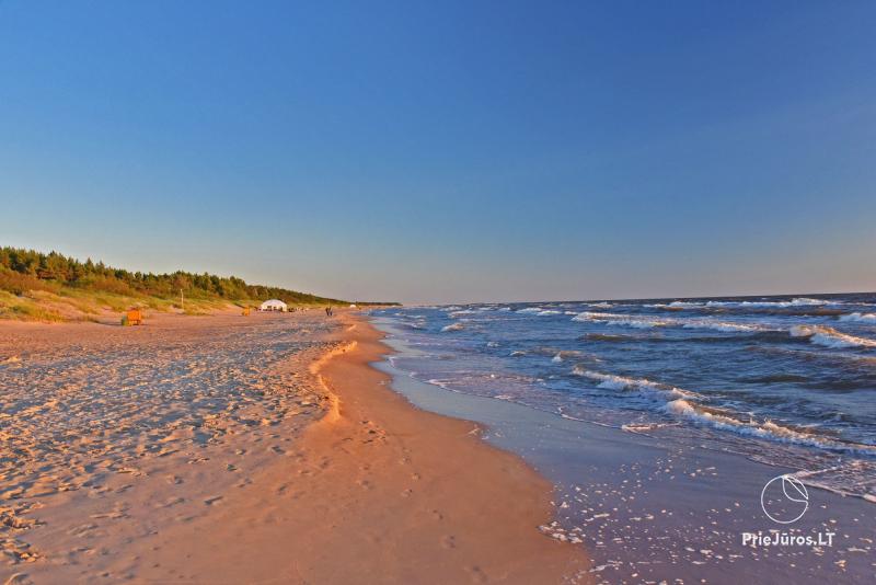 Wohnungen zu vermieten in Palanga