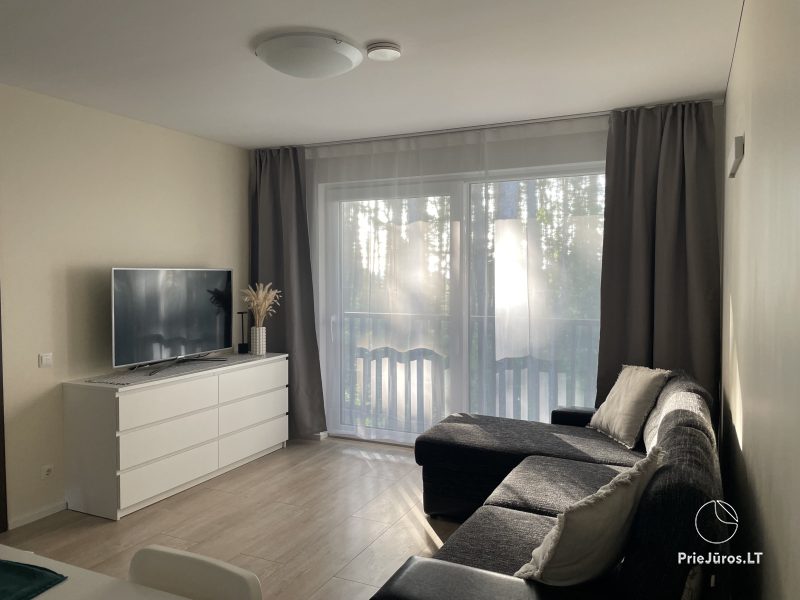 Apartamentų nuoma Preiloje su vaizdu į pušyną Preila4You