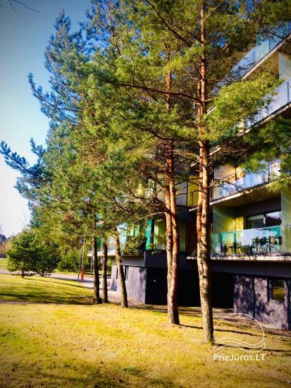 Nuomojami šviesūs, jaukūs 1 ir 2 kambarių apartamentai Palangoje