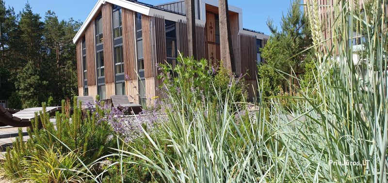 Apartamentai Nidoje Kurėnas, Guboja ir Plunksna