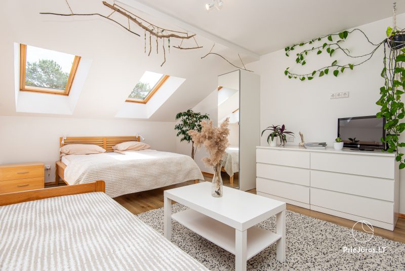''Arčiau gamtos'' apartamentų nuoma Nidoje