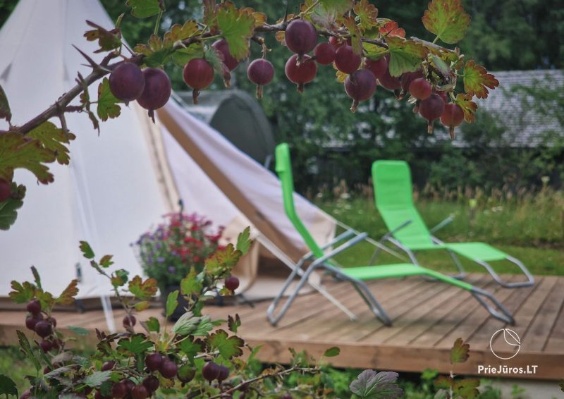 Kempings-glempings un brīvdienu māja Pūkainie Ragi - Camping-glamping Fluffy Horns