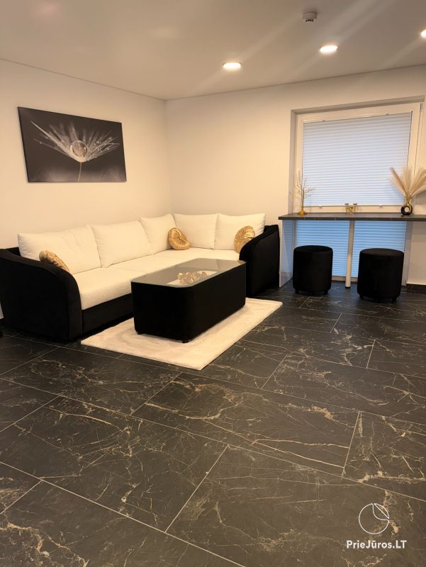 Modern minimalist Luxury apartment Klaipėda