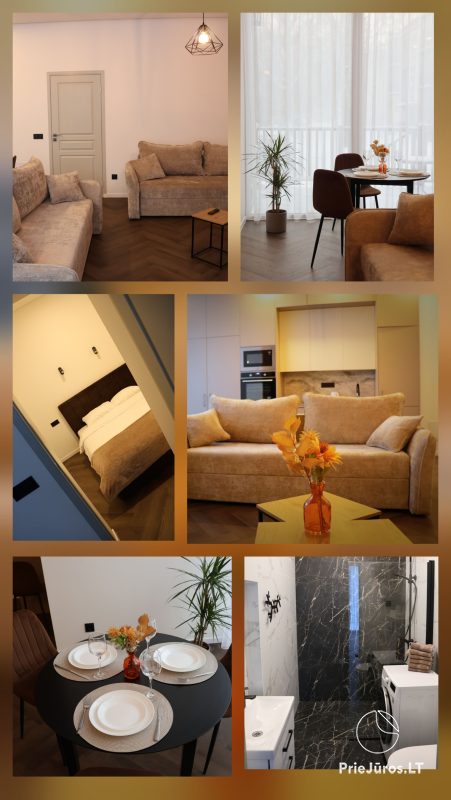 Dzīvokļu īre Vytauto ielā