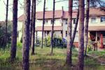 Apartments in Nida for 3 persons
