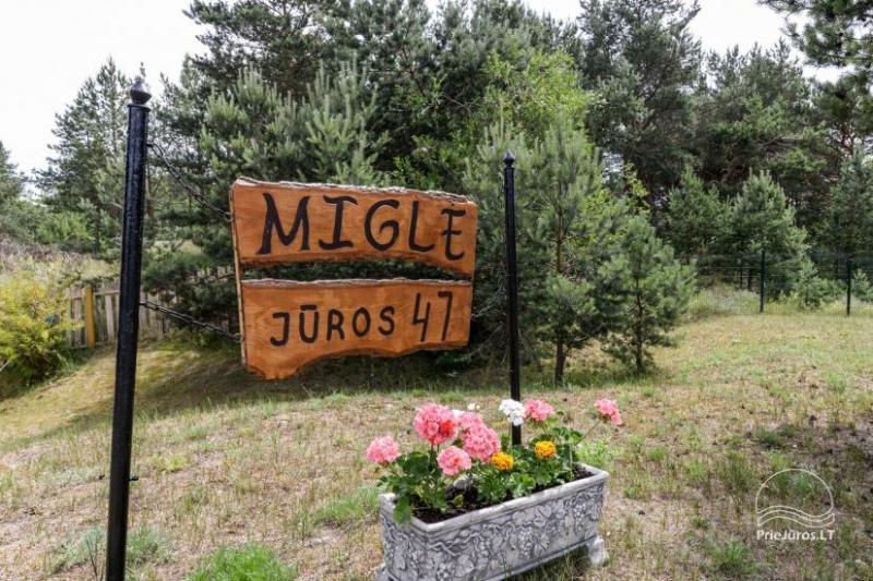 Mediniai nameliai Miglė