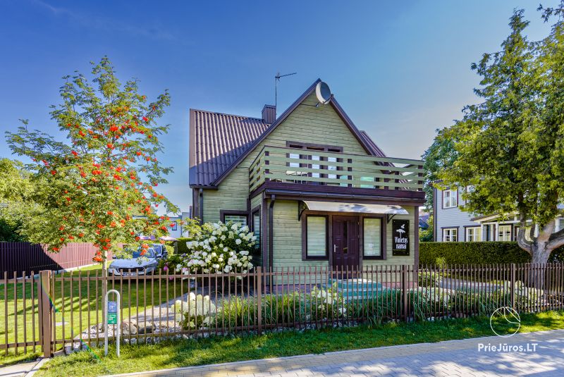 Violetos namai. Butų, kambarių nuoma Palangoje