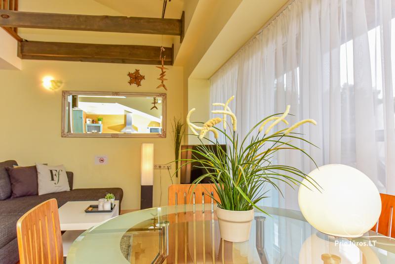 Erdvus Apartamentas su baseinu, pirtimi, jacuzzi, teniso kortu