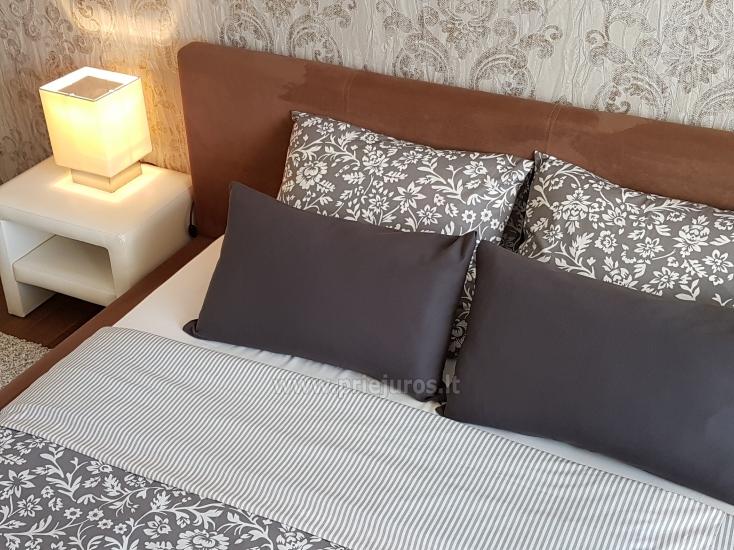 Modern furnished Daukanto apartment with cosy terrace