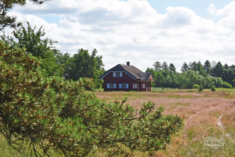 Māja pārdošanai Pape, Latvija ar 0,5 hektāru zemes gabalu pie jūras - 7